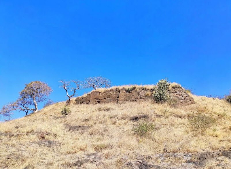 Dermal Fort, Nadse, Maharashtra, India